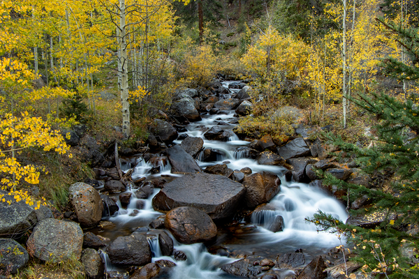Peace of Fall by B Zolle