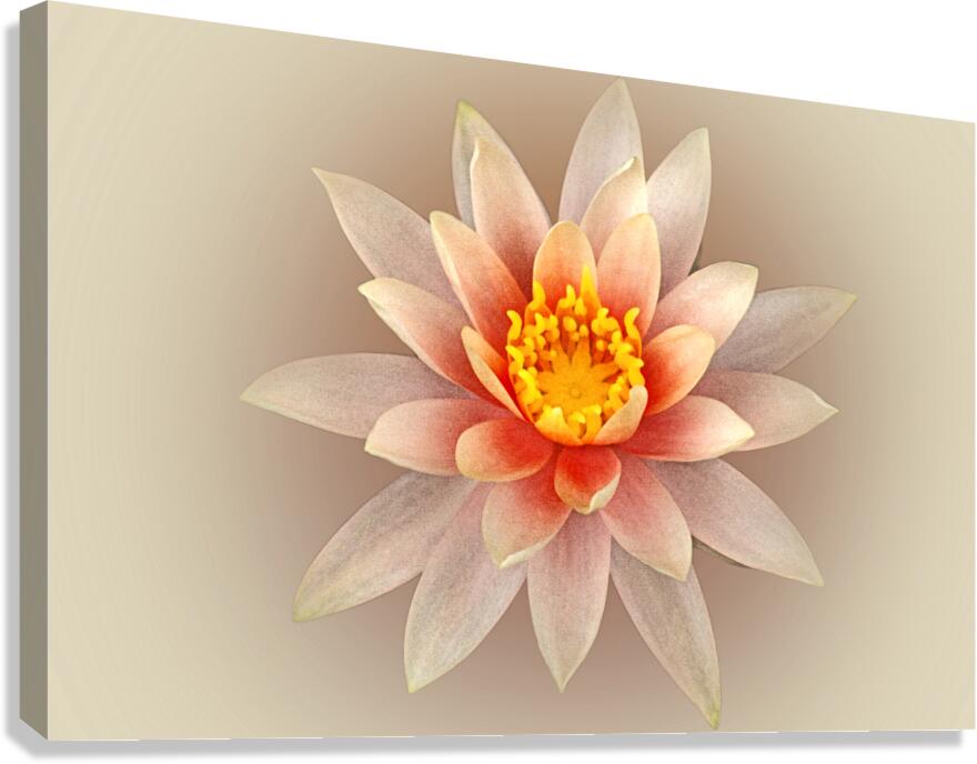 Lily Heart Canvas Print