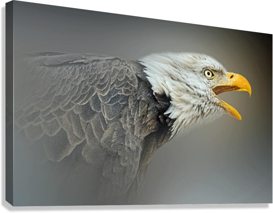 Let it Out Canvas Print