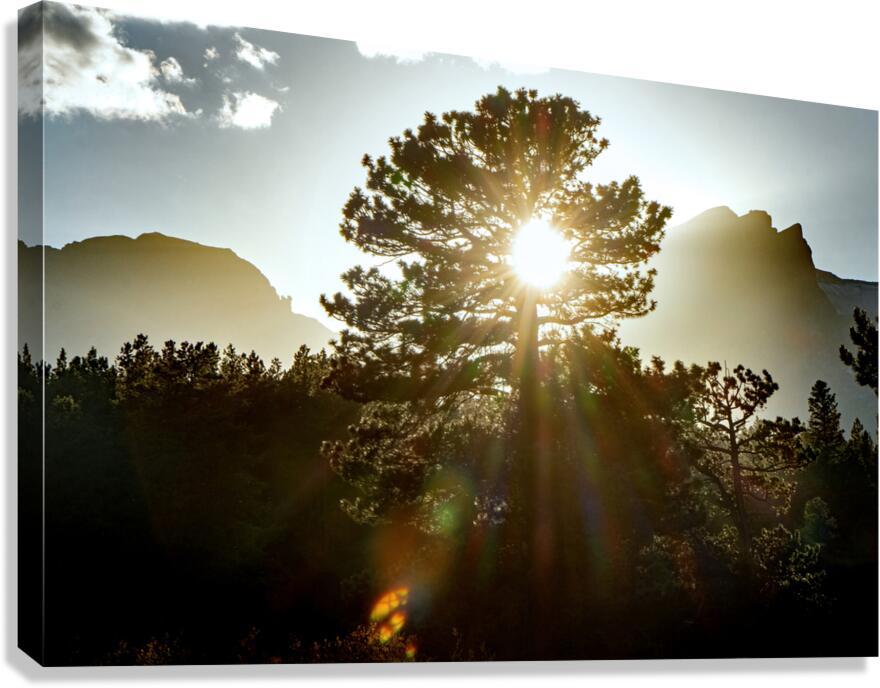 Alpine Sunbeams  Canvas Print