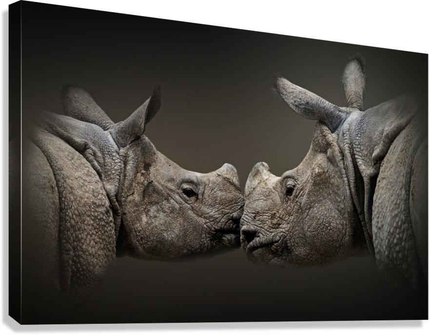 Affectionate Canvas Print