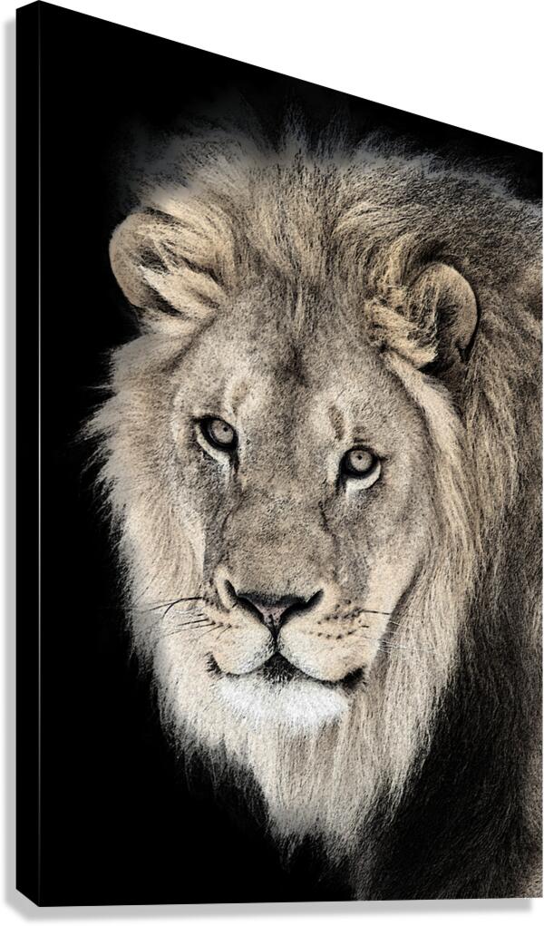 Courage Canvas Print