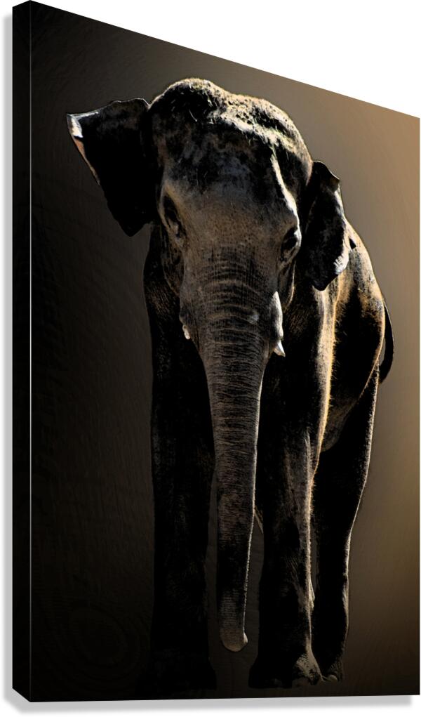 Massive  Canvas Print