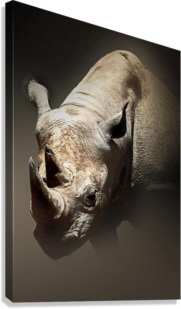 Emerge Canvas Print