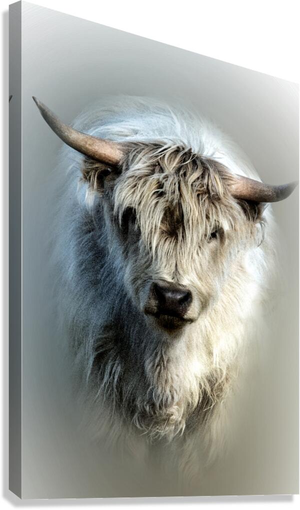 Only One Canvas Print