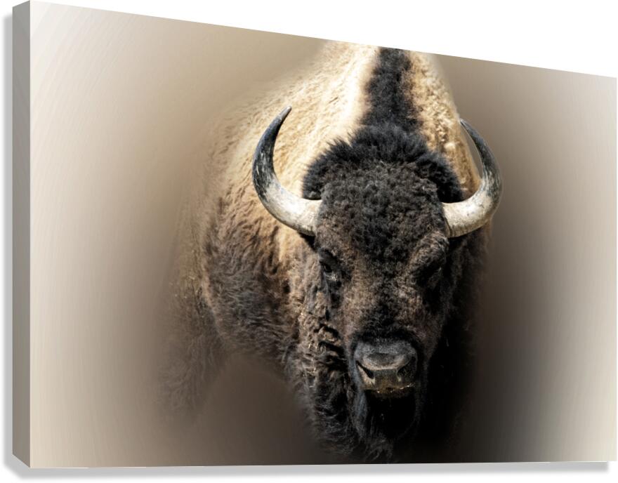 Earth Shaker Canvas Print