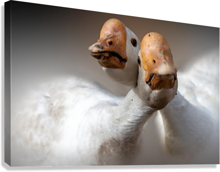 We Love You Canvas Print