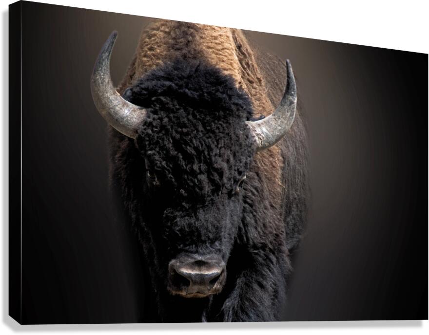 The Business End Canvas Print