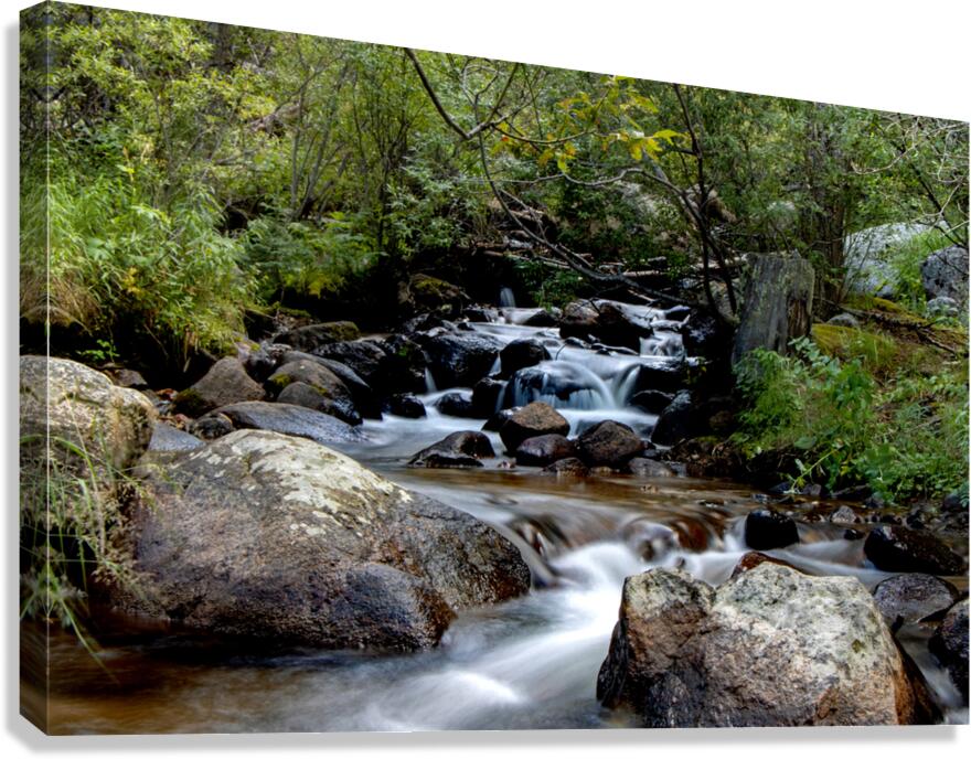 Zenful Canvas Print