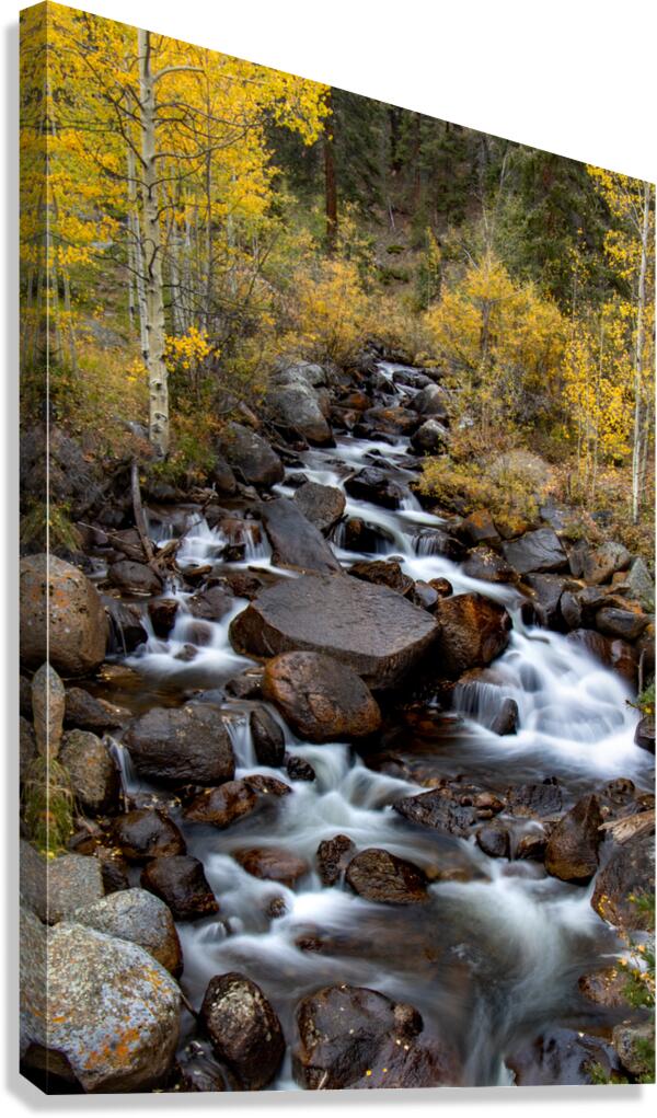 Fall Sanctuary Canvas Print
