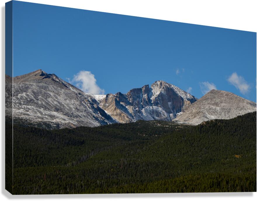 Longs Dusted Canvas Print