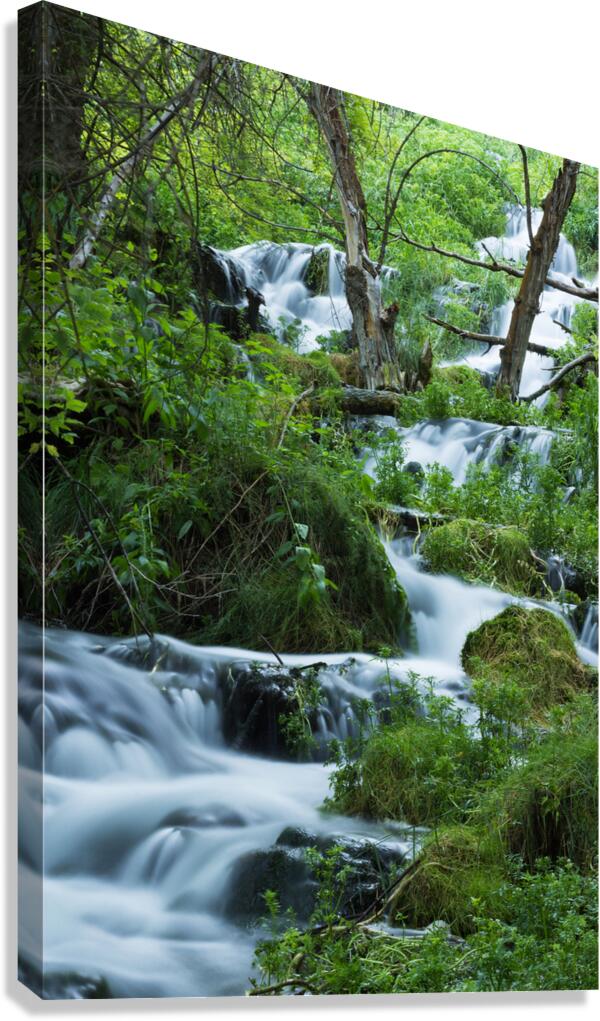 Tranquility Canvas Print