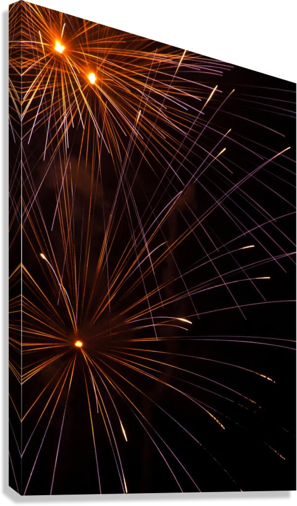 tripple shot Canvas Print