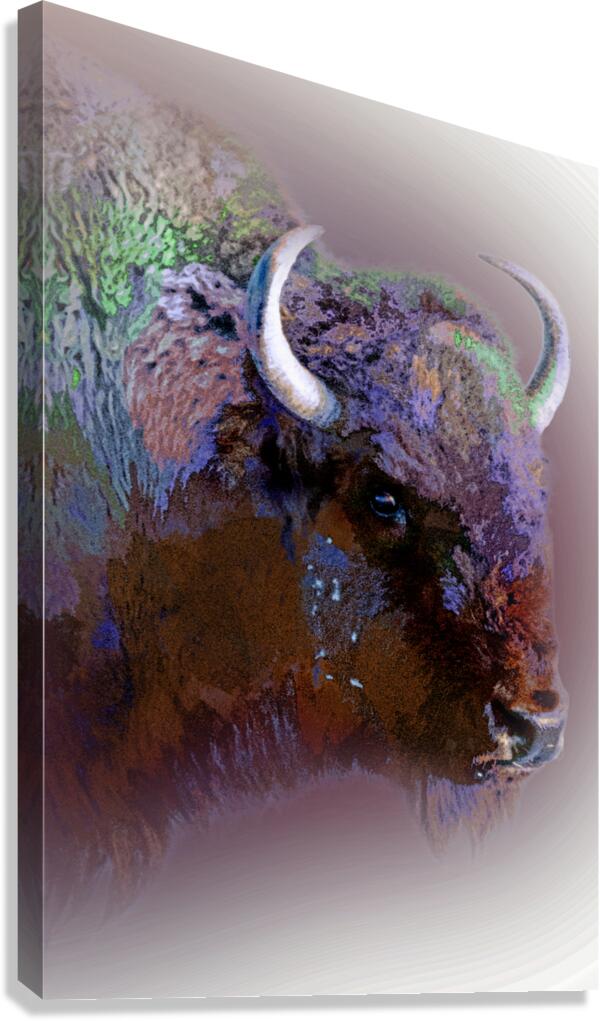 Technicolor Buffalo Canvas Print
