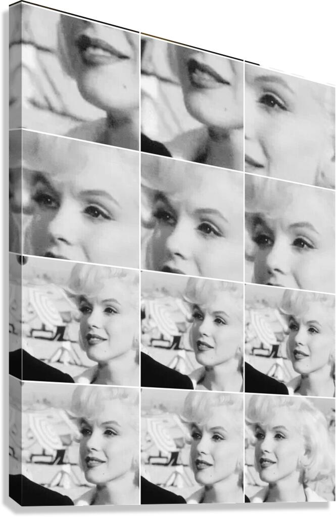 monroe Canvas Print
