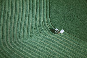 landscape_2_0596