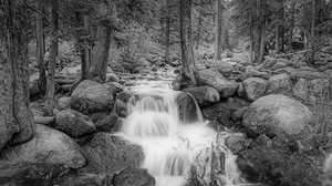 Black and White waterfall