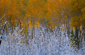 Colorado Landscapes 31