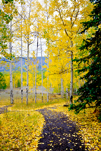 Colorado Landscapes 1