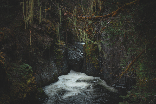 The Canyon by capturinginthewild