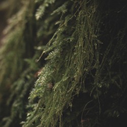 The Art of Noticing