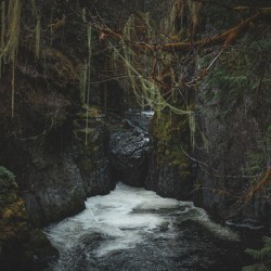 The Canyon