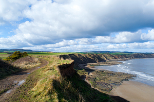 Scalby Cliffs