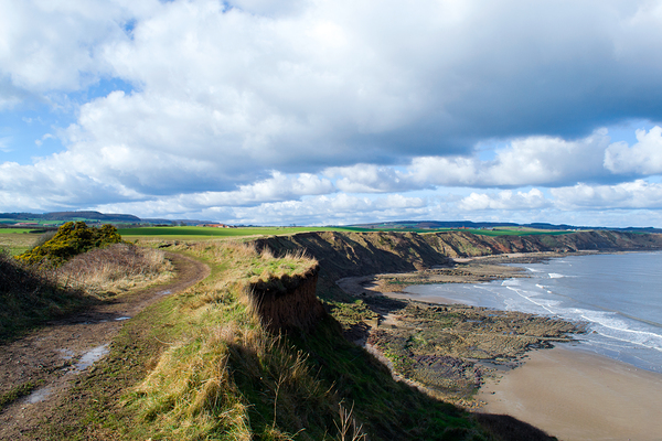 Scalby Cliffs Print