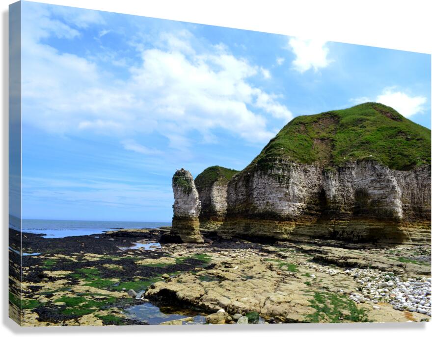 Flamborough Cliffs Canvas Print