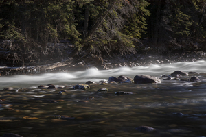 tiny rapids