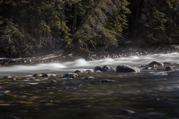 tiny rapids Print