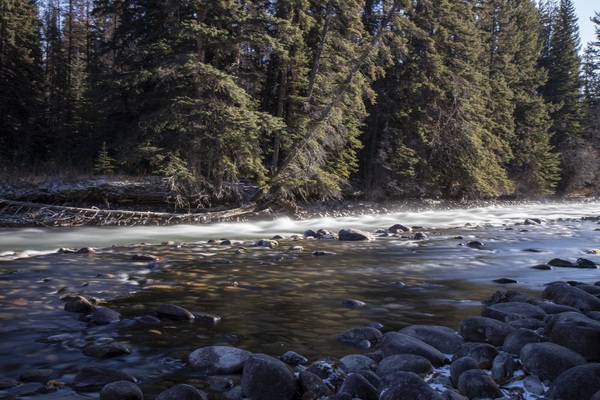 mountain stream Print