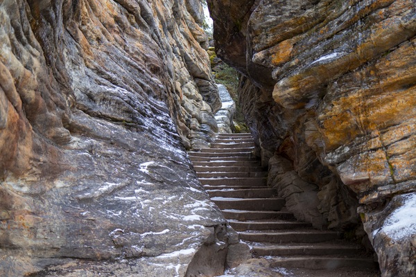 steps Print