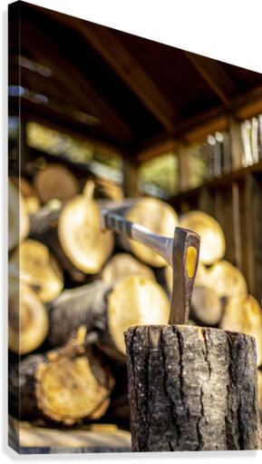 just axe Canvas Print