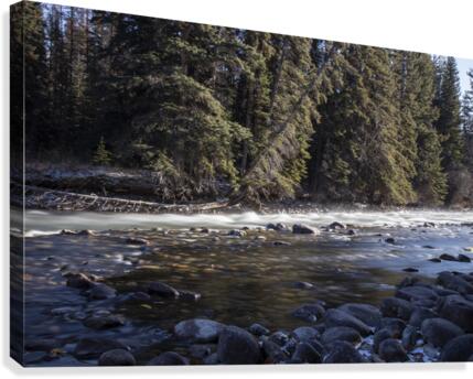 mountain stream Canvas Print
