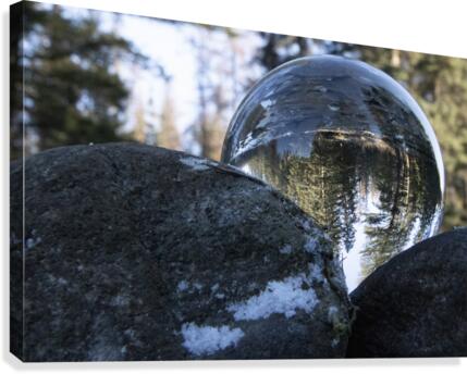evergreen snowglobe Canvas Print