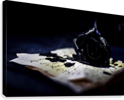 blackheart Canvas Print