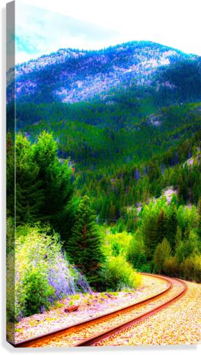 mountain track Canvas Print
