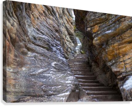 steps Canvas Print