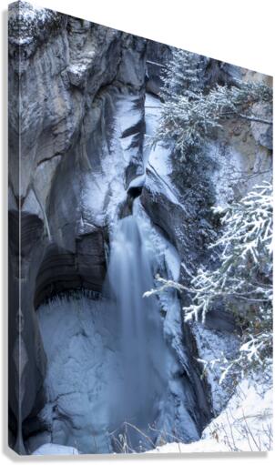 frozen falls Canvas Print