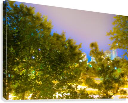 citynight Canvas Print