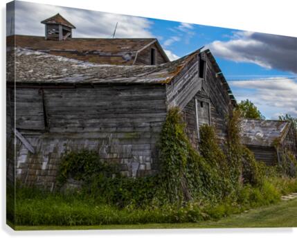 barns Canvas Print