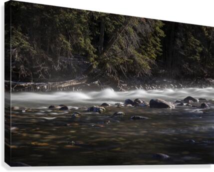 tiny rapids Canvas Print