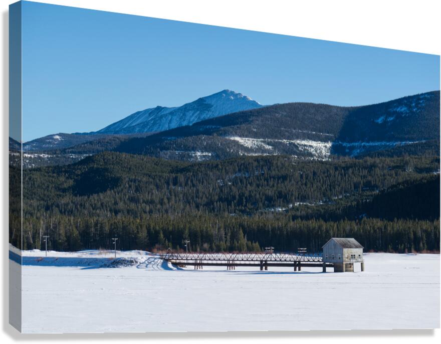 DSC 3357 Canvas Print