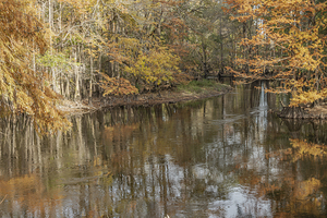 Where Autumn Whispers to the River