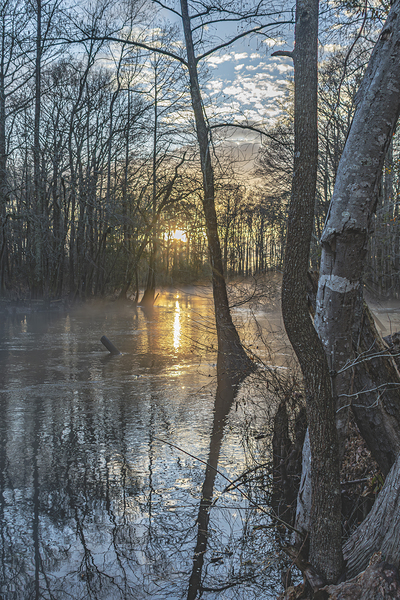 Silhouettes of Serenity: Lumbee River at Sunset by Richard Mathis