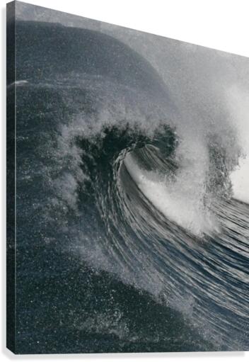 Curl  Canvas Print