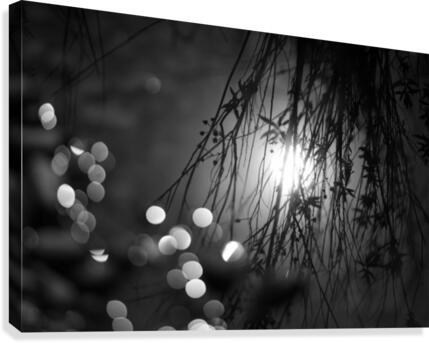 Sun Bokeh Canvas Print