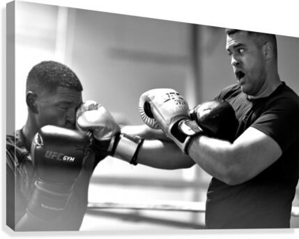 Punch Canvas Print