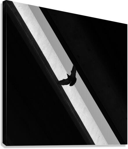 Between the Lines Canvas Print